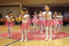 ples-banjaluka-kotor-varos2